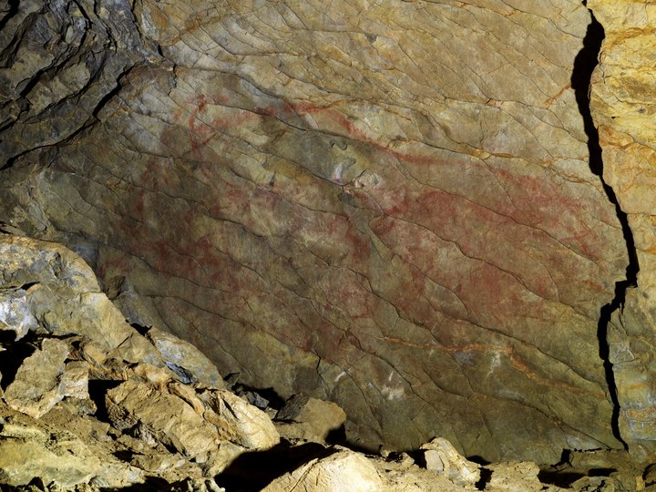 Altxerri: large red bison