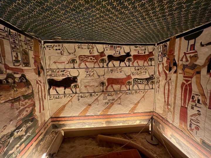Nefertari: painted figures beneath the stars